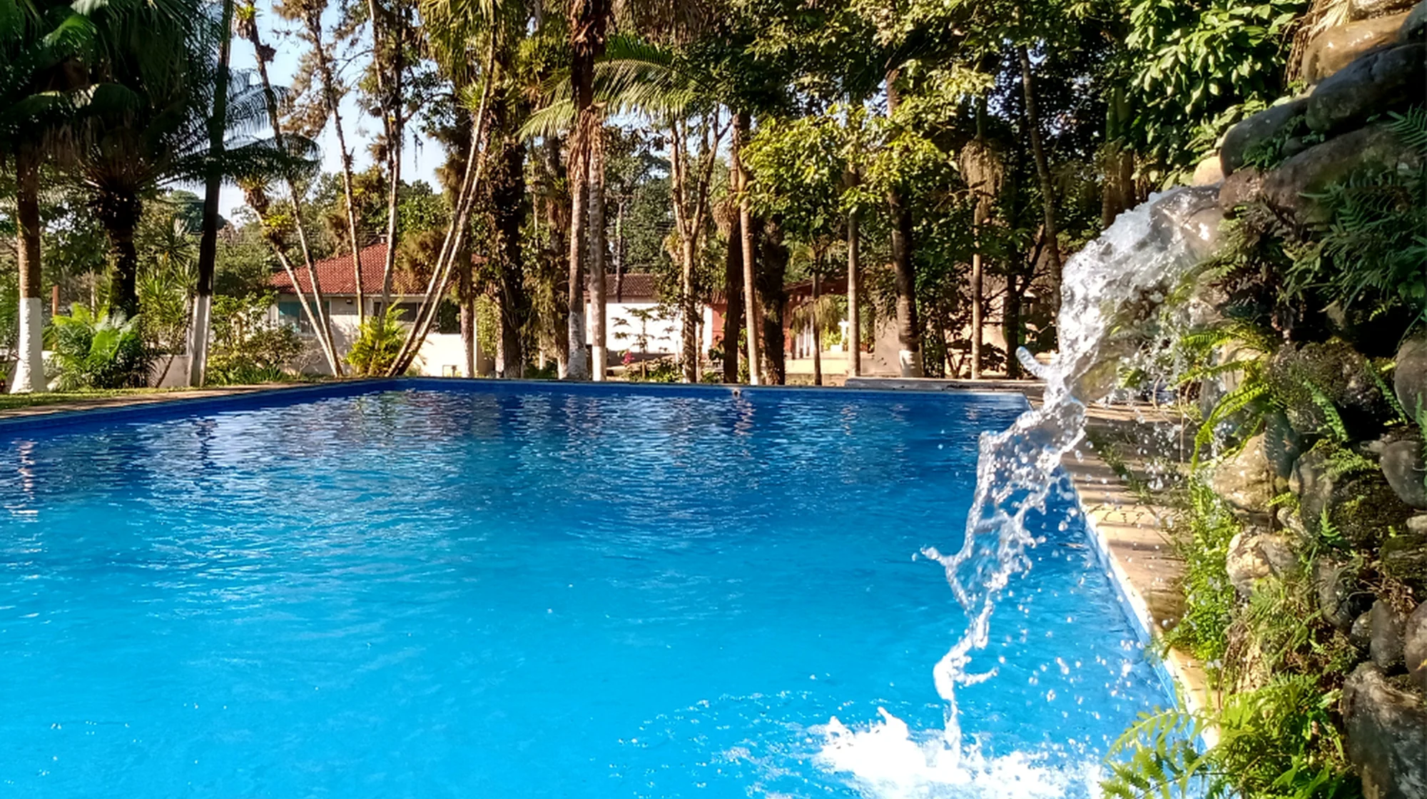 Área externa e paisagismo