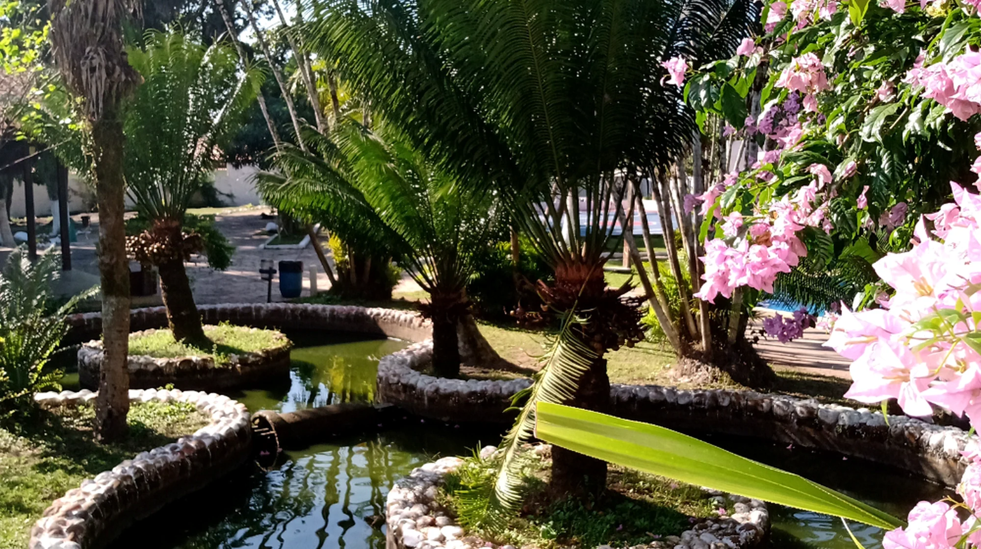 Ambiente acolhedor e natureza