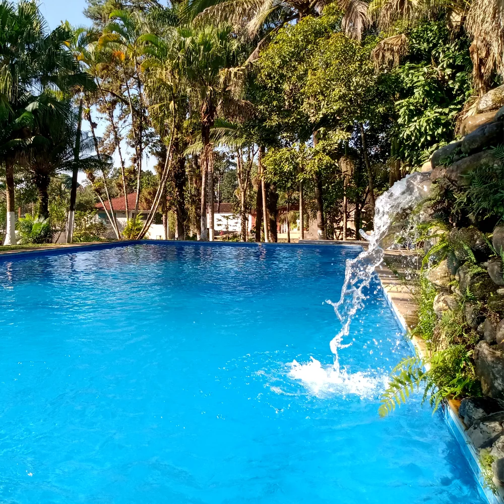 Área externa com piscina e paisagismo